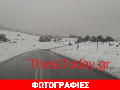 Το ‘στρωσε στη Βασιλίτσα